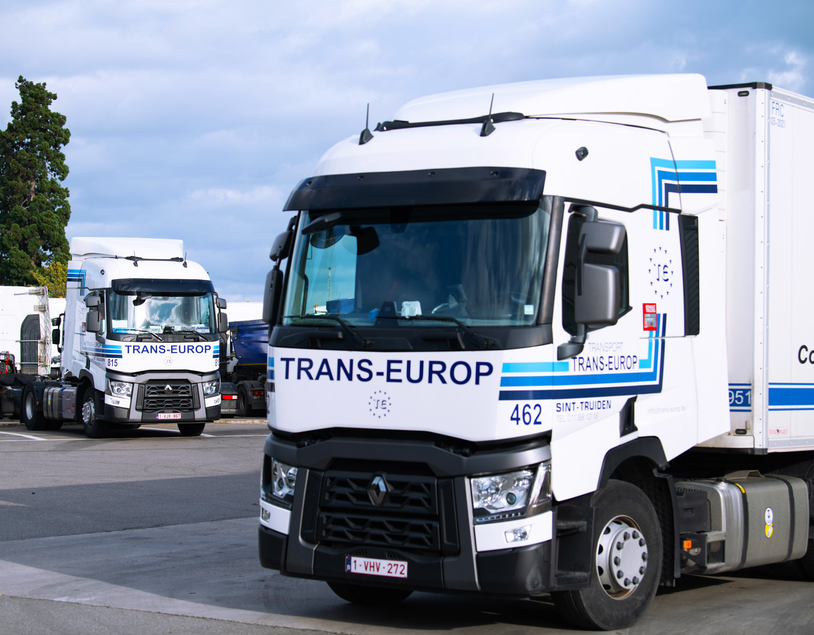 Twee vrachtwagens van Trans Europ op parking
